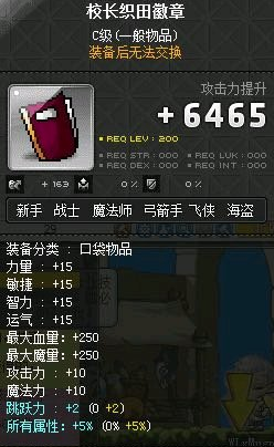 冒险岛涅槃火焰哪里出（冒险岛涅槃火焰介绍）插图54