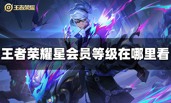 王者荣耀星会员等级在哪里看 星会员等级查看方法