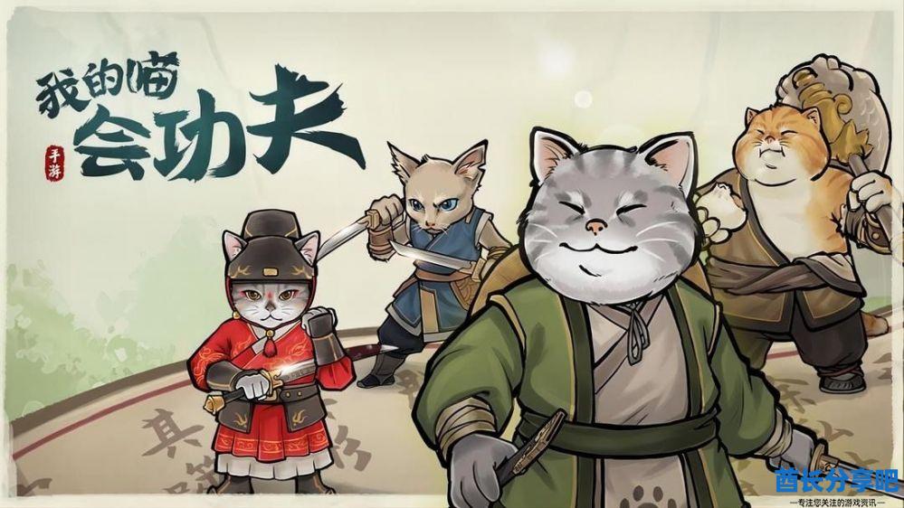功法搭配推荐