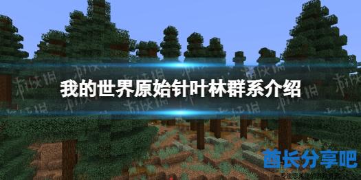 酋长游戏吧1