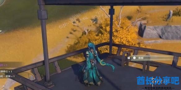 酋长游戏吧9