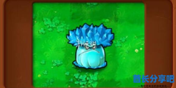 酋长游戏吧1