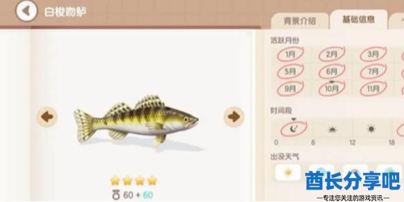 酋长游戏吧1