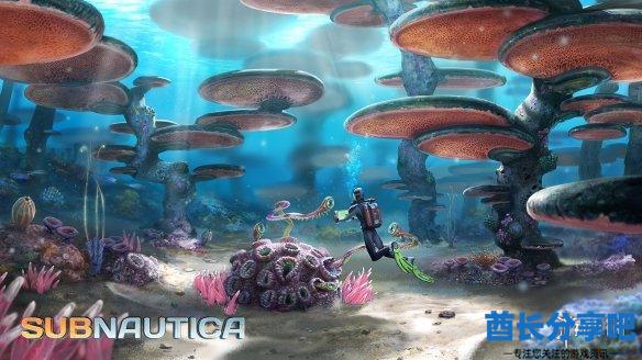 酋长游戏吧13