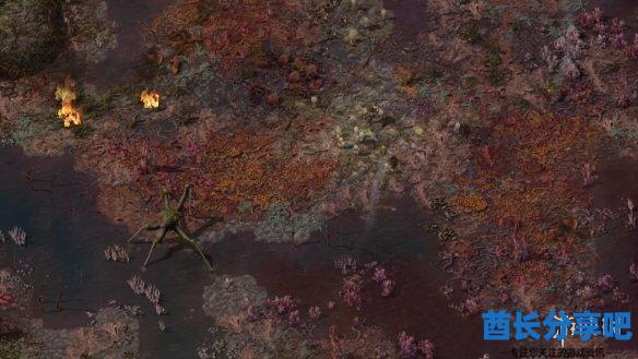 酋长游戏吧5