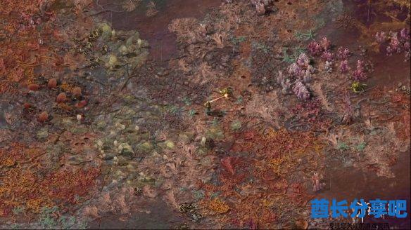 酋长游戏吧2