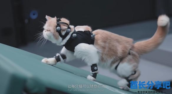 酋长游戏吧2