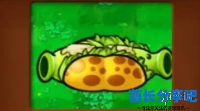 酋长游戏吧13