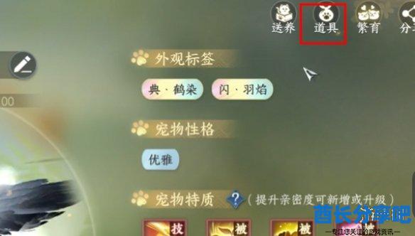 酋长游戏吧2