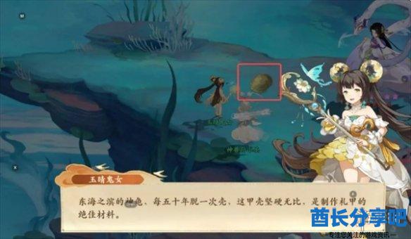 酋长游戏吧5