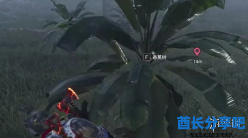 酋长游戏吧3