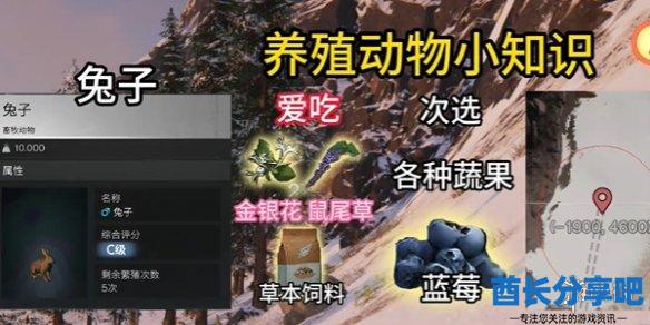 酋长游戏吧4