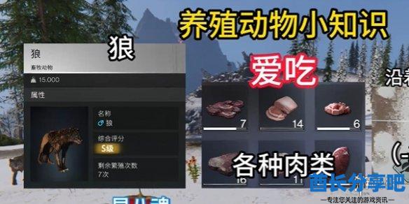 酋长游戏吧3