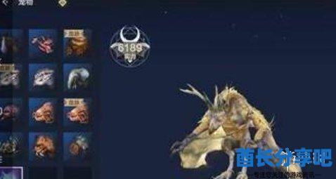 酋长游戏吧2