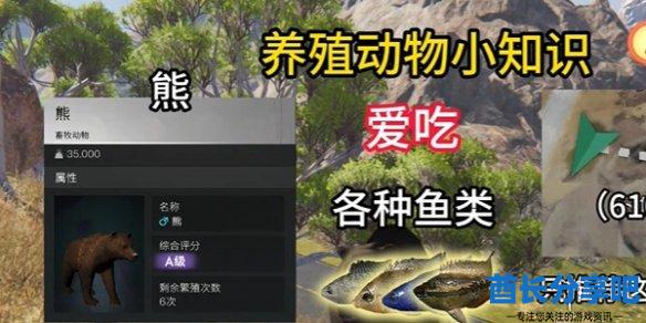 酋长游戏吧5