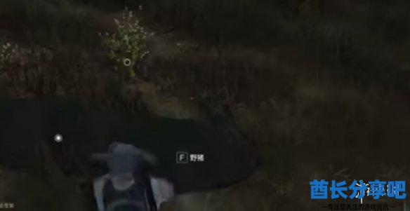 酋长游戏吧11