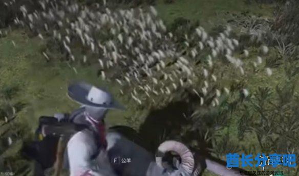 酋长游戏吧5