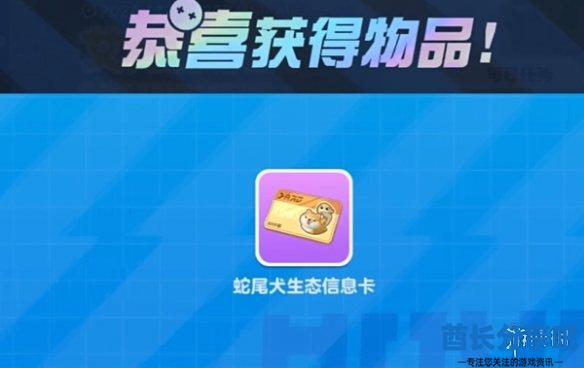 酋长游戏吧3