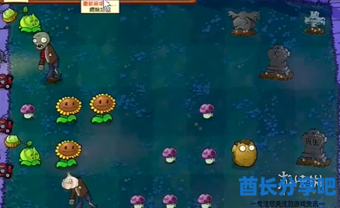 酋长游戏吧8