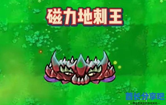 酋长游戏吧2