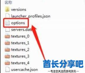 酋长游戏吧2