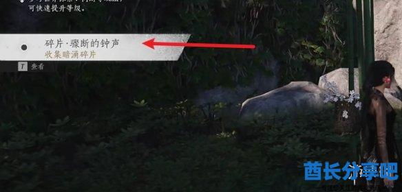 酋长游戏吧13
