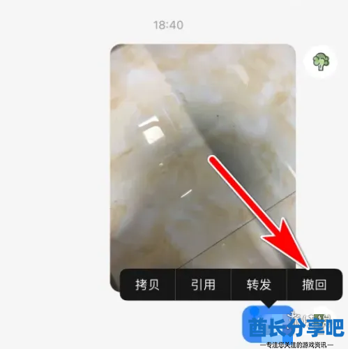 酋长游戏吧2