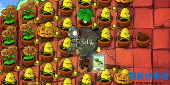 酋长游戏吧1