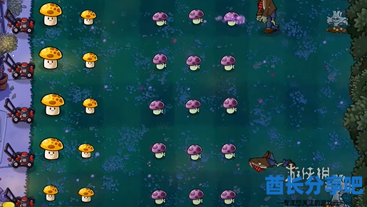 酋长游戏吧7