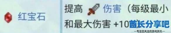 酋长游戏吧6