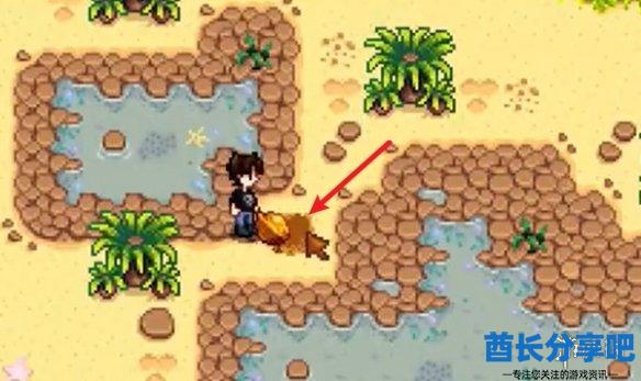 酋长游戏吧8
