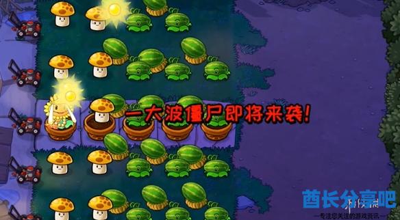 酋长游戏吧8