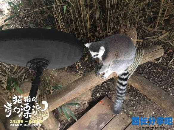 酋长游戏吧3