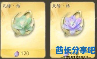 酋长游戏吧1