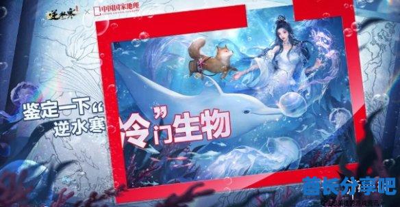 酋长游戏吧10