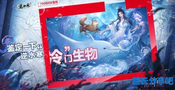 酋长游戏吧36