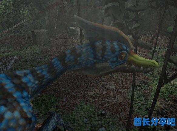 酋长游戏吧1