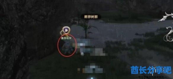酋长游戏吧6