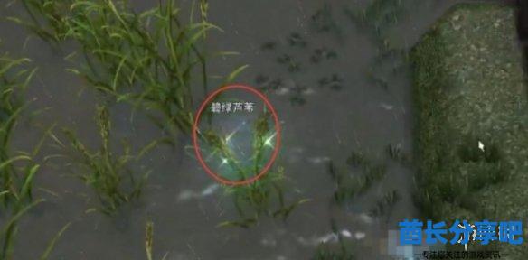 酋长游戏吧7